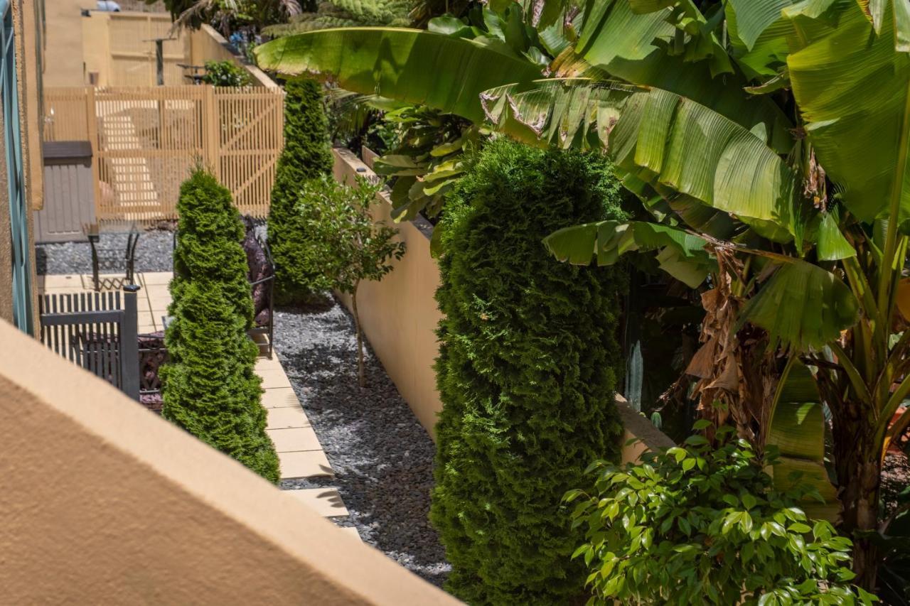 נלסון Tuscany Gardens Motor Lodge מראה חיצוני תמונה